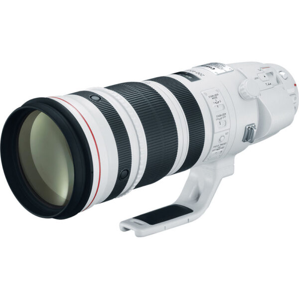 Canon EF 200-400mm f/4L IS USM Extender 1.4x Lens (Canon EF) view 3