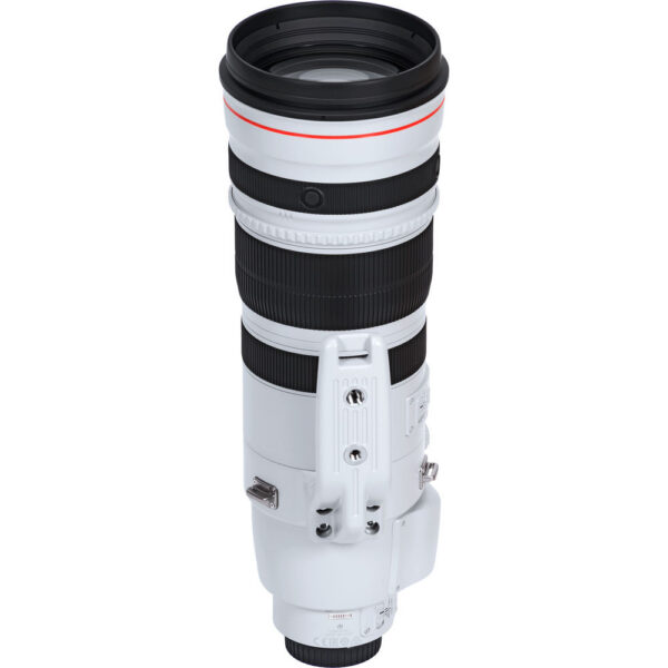 Canon EF 200-400mm f/4L IS USM Extender 1.4x Lens (Canon EF) view 5