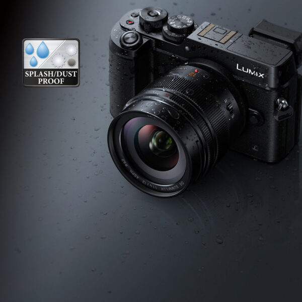 Panasonic Leica DG Summilux 12mm f/1.4 ASPH. Lens view 5
