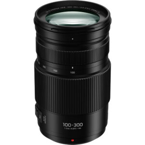 Panasonic LUMIX G Vario 100-300mm f/4-5.6 II POWER O.I.S. Lens