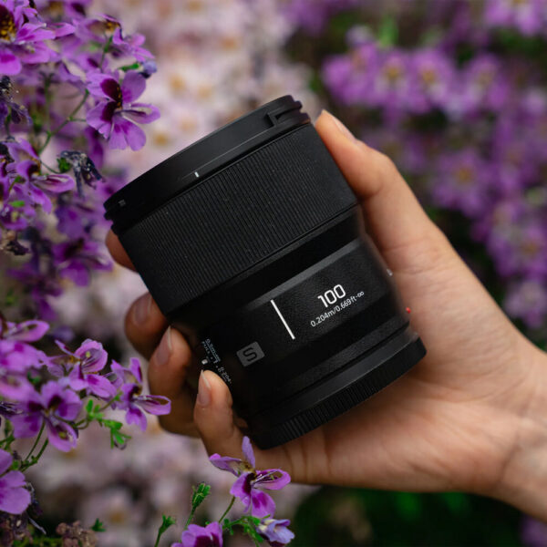 Panasonic LUMIX S 100mm f/2.8 Macro Lens (L-Mount) view 5