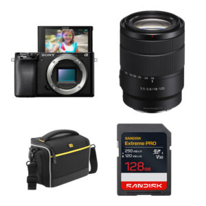 Sony a6100 Mirrorless Camera with 18-135mm f/3.5-5.6 Lens and Basic Bundle