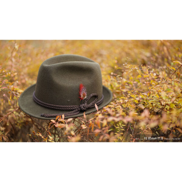 Sony FE 85mm f/1.8 Lens view 7