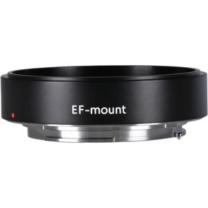 Venus Optics Laowa Sword 100mm T2.9 2x Macro Cine Lens and Mount Adapter Kit (ARRI PL/Canon EF)
