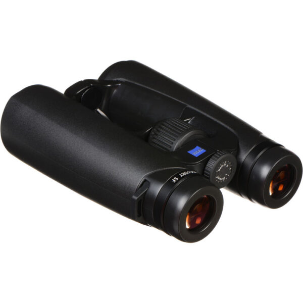 ZEISS 10x42 Victory SF T* Binoculars view 2